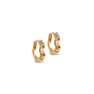 Hoops, Laia