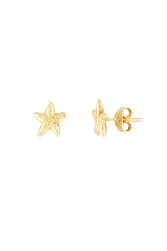 Starfish Studs Gold