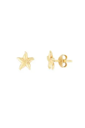 Starfish Studs Gold